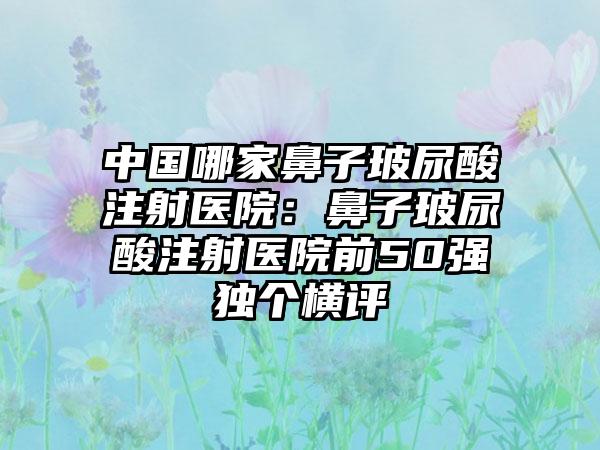 中国哪家鼻子玻尿酸注射医院：鼻子玻尿酸注射医院前50强独个横评