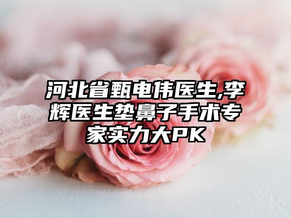 河北省甄电伟医生,李辉医生垫鼻子手术专家实力大PK