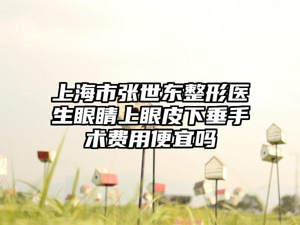 上海市张世东整形医生眼睛上眼皮下垂手术费用便宜吗
