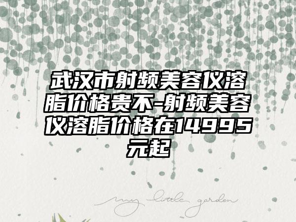 武汉市射频美容仪溶脂价格贵不-射频美容仪溶脂价格在14995元起