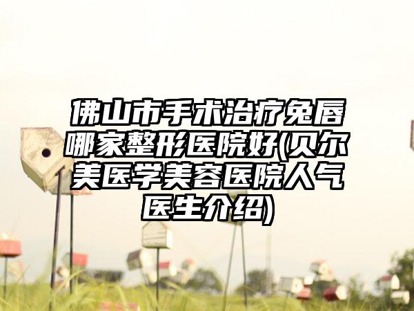 佛山市手术治疗兔唇哪家整形医院好(贝尔美医学美容医院人气医生介绍)