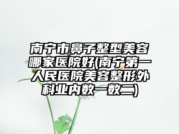 南宁市鼻子整型美容哪家医院好(南宁第一人民医院美容整形外科业内数一数二)