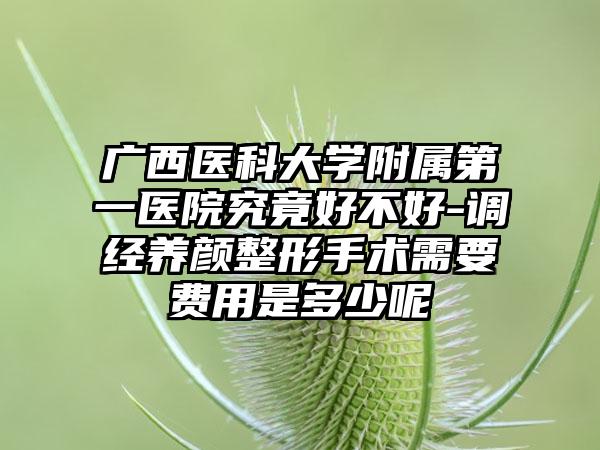 广西医科大学附属第一医院究竟好不好-调经养颜整形手术需要费用是多少呢