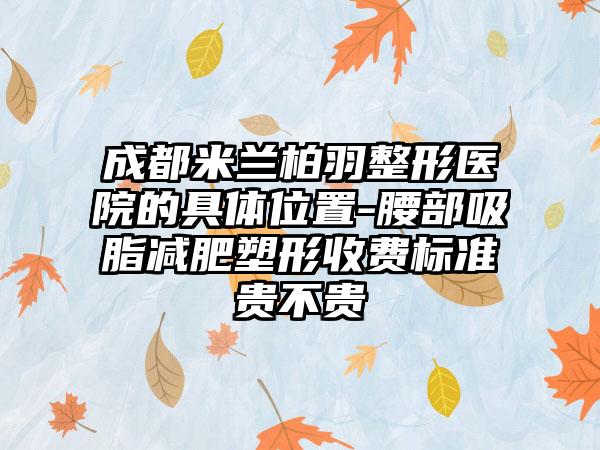 成都米兰柏羽整形医院的具体位置-腰部吸脂减肥塑形收费标准贵不贵