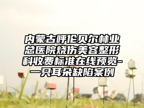 内蒙古呼伦贝尔林业总医院烧伤美容整形科收费标准在线预览-一只耳朵缺陷案例
