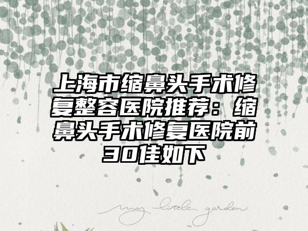 上海市缩鼻头手术修复整容医院推荐：缩鼻头手术修复医院前30佳如下