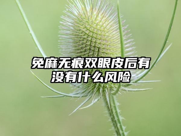 免麻无痕双眼皮后有没有什么风险