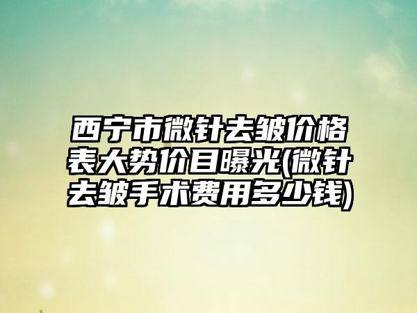 西宁市微针去皱价格表大势价目曝光(微针去皱手术费用多少钱)