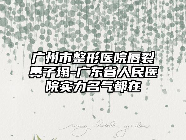 广州市整形医院唇裂鼻子塌-广东省人民医院实力名气都在