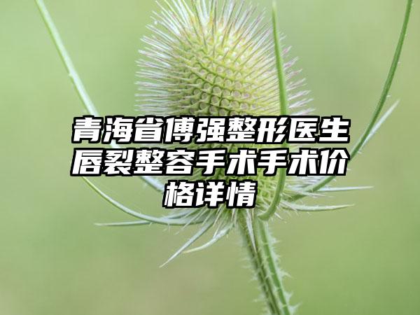 青海省傅强整形医生唇裂整容手术手术价格详情
