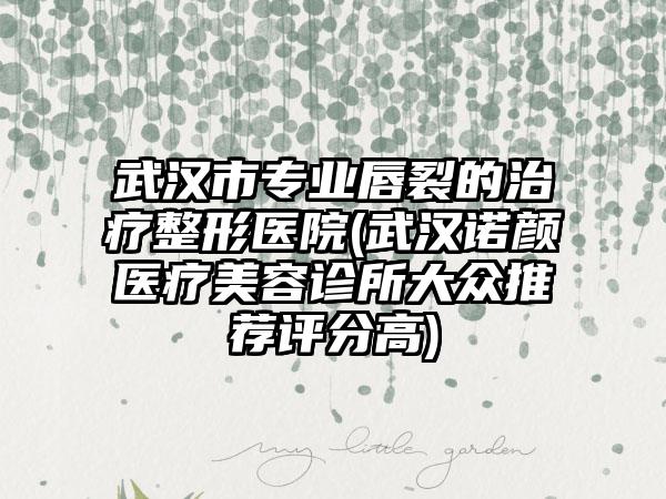 武汉市专业唇裂的治疗整形医院(武汉诺颜医疗美容诊所大众推荐评分高)