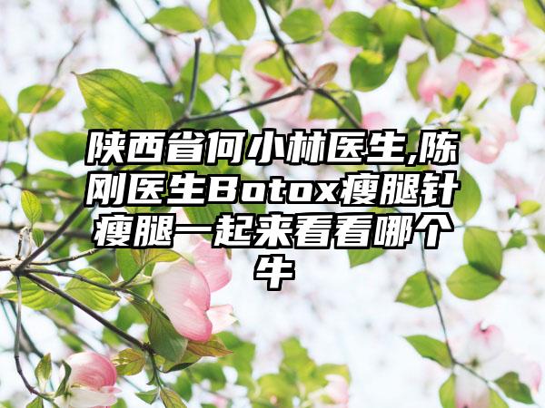 陕西省何小林医生,陈刚医生Botox瘦腿针瘦腿一起来看看哪个牛