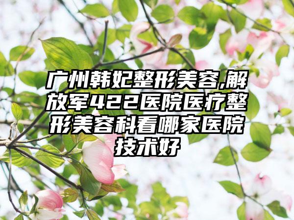 广州韩妃整形美容,解放军422医院医疗整形美容科看哪家医院技术好