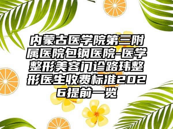 内蒙古医学院第三附属医院包钢医院-医学整形美容门诊路玮整形医生收费标准2026提前一览