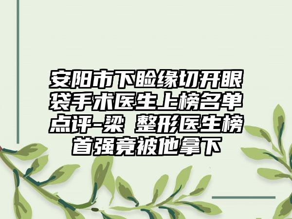 安阳市下睑缘切开眼袋手术医生上榜名单点评-梁潔整形医生榜首强竟被他拿下