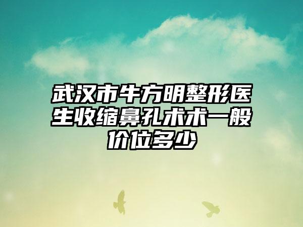 武汉市牛方明整形医生收缩鼻孔术术一般价位多少