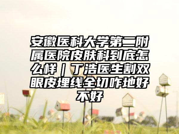 安徽医科大学第二附属医院皮肤科到底怎么样｜丁浩医生割双眼皮埋线全切咋地好不好