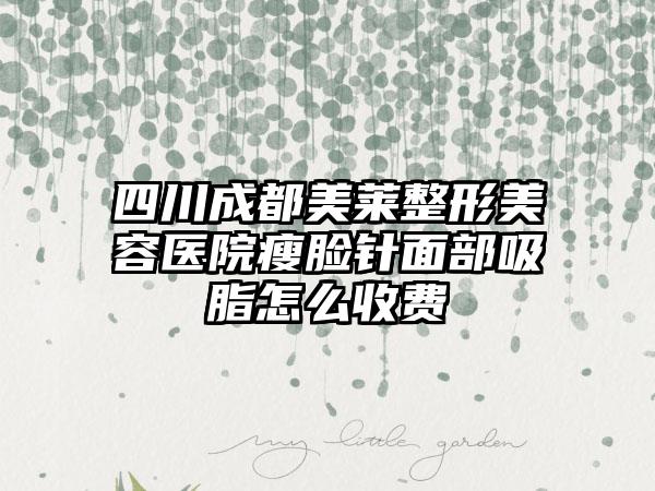四川成都美莱整形美容医院瘦脸针面部吸脂怎么收费
