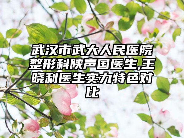 武汉市武大人民医院整形科陕声国医生,王晓利医生实力特色对比