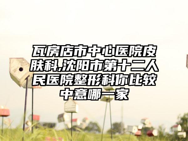 瓦房店市中心医院皮肤科,沈阳市第十二人民医院整形科你比较中意哪一家