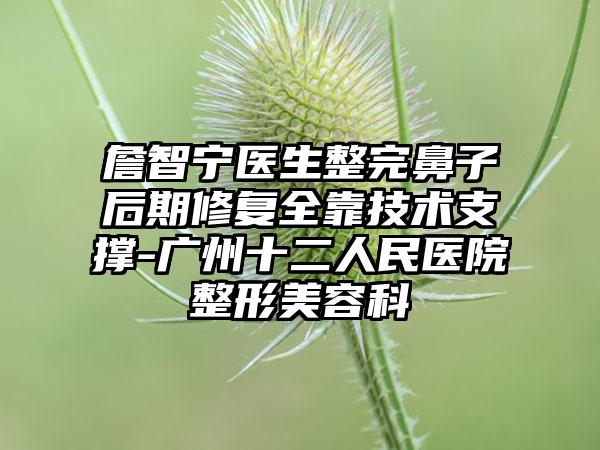 詹智宁医生整完鼻子后期修复全靠技术支撑-广州十二人民医院整形美容科