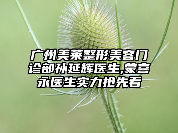 广州美莱整形美容门诊部孙延辉医生,蒙喜永医生实力抢先看