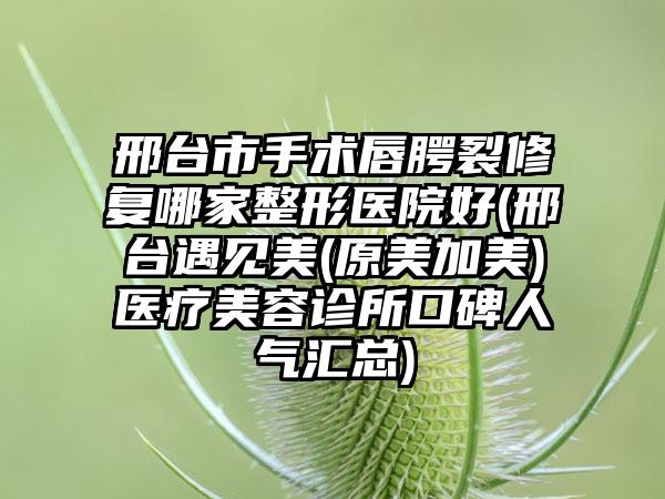 邢台市手术唇腭裂修复哪家整形医院好(邢台遇见美(原美加美)医疗美容诊所口碑人气汇总)