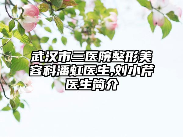 武汉市三医院整形美容科潘虹医生,刘小芹医生简介