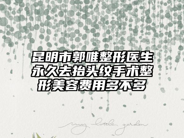 昆明市郭唯整形医生永久去抬头纹手术整形美容费用多不多