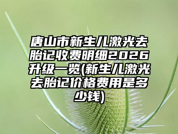 唐山市新生儿激光去胎记收费明细2026升级一览(新生儿激光去胎记价格费用是多少钱)