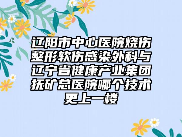 辽阳市中心医院烧伤整形软伤感染外科与辽宁省健康产业集团抚矿总医院哪个技术更上一楼