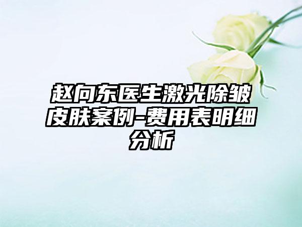 赵向东医生激光除皱皮肤案例-费用表明细分析