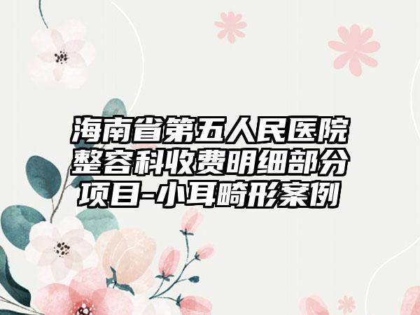 海南省第五人民医院整容科收费明细部分项目-小耳畸形案例
