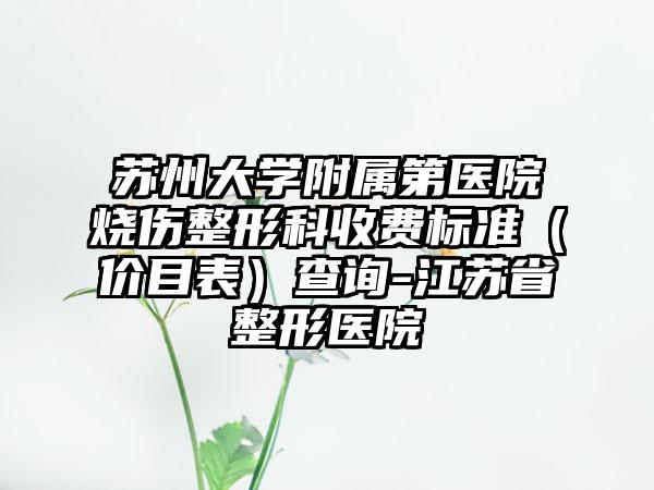 苏州大学附属第医院烧伤整形科收费标准（价目表）查询-江苏省整形医院