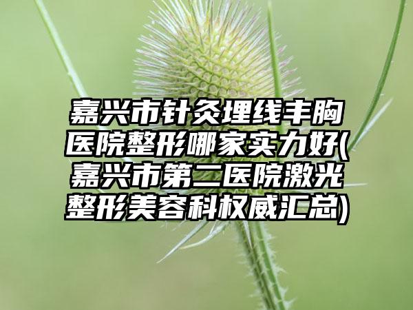 嘉兴市针灸埋线丰胸医院整形哪家实力好(嘉兴市第二医院激光整形美容科权威汇总)