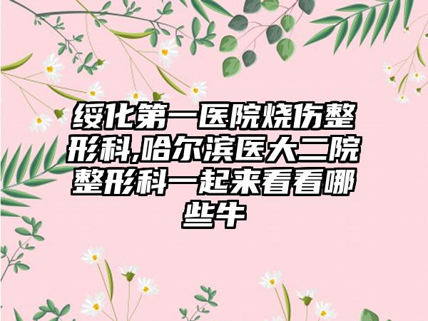 绥化第一医院烧伤整形科,哈尔滨医大二院整形科一起来看看哪些牛