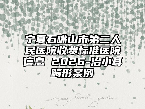 宁夏石嘴山市第二人民医院收费标准医院信息 2026-治小耳畸形案例