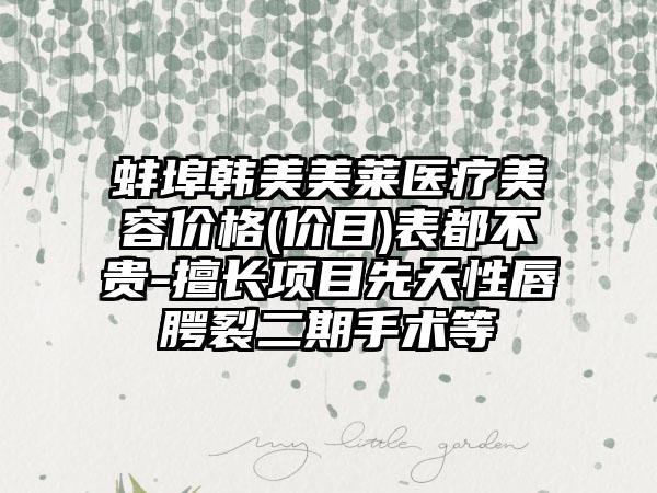蚌埠韩美美莱医疗美容价格(价目)表都不贵-擅长项目先天性唇腭裂二期手术等
