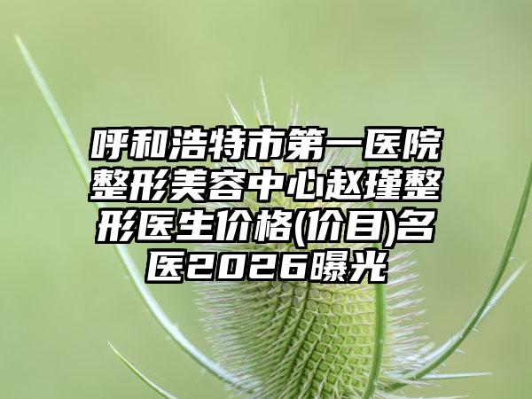呼和浩特市第一医院整形美容中心赵瑾整形医生价格(价目)名医2026曝光
