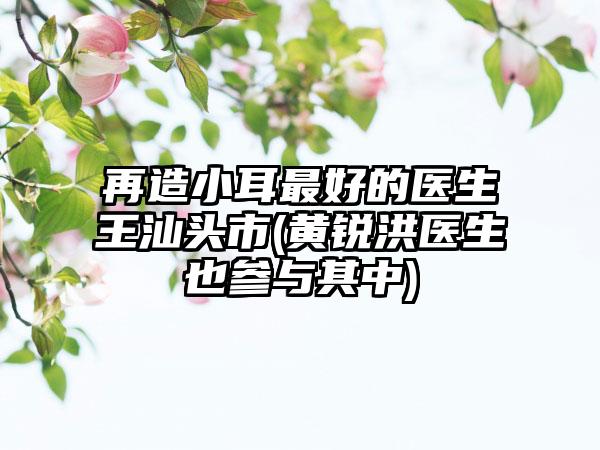 再造小耳最好的医生王汕头市(黄锐洪医生也参与其中)