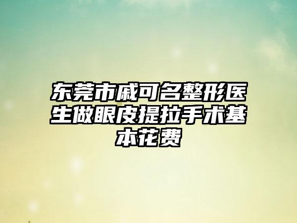 东莞市戚可名整形医生做眼皮提拉手术基本花费