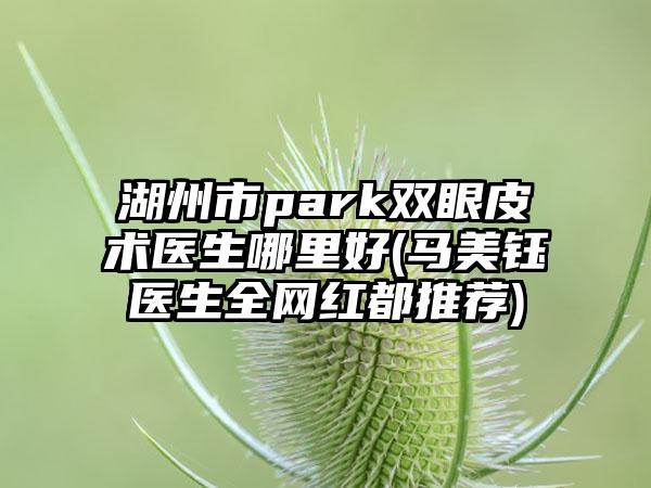 湖州市park双眼皮术医生哪里好(马美钰医生全网红都推荐)