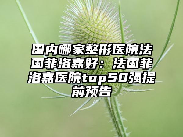 国内哪家整形医院法国菲洛嘉好：法国菲洛嘉医院top50强提前预告