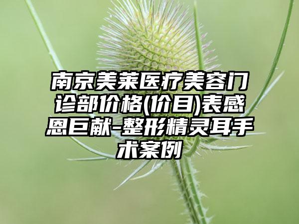 南京美莱医疗美容门诊部价格(价目)表感恩巨献-整形精灵耳手术案例