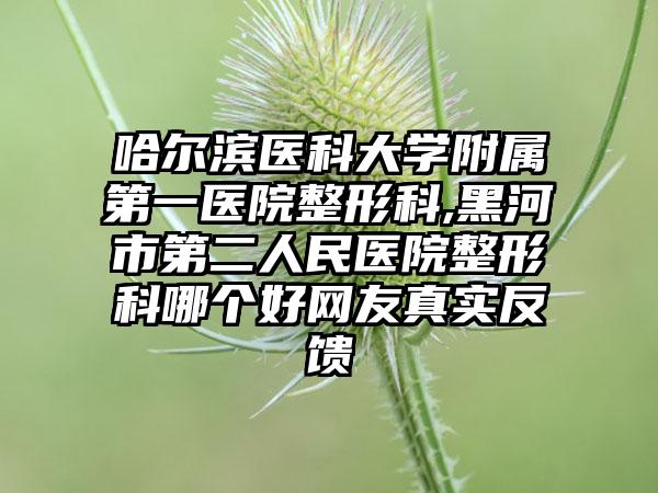 哈尔滨医科大学附属第一医院整形科,黑河市第二人民医院整形科哪个好网友真实反馈