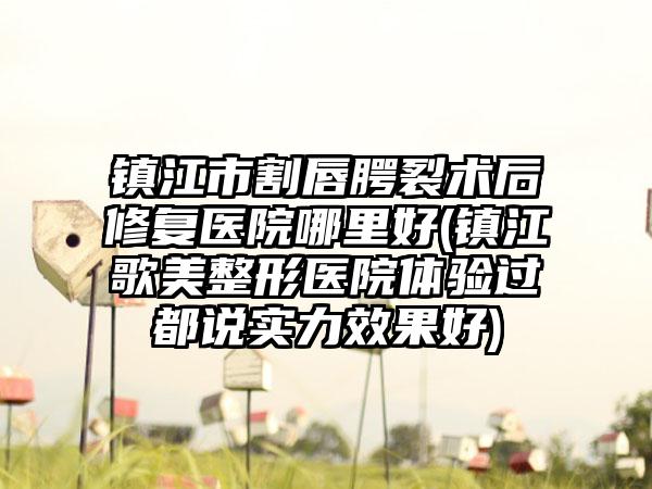 镇江市割唇腭裂术后修复医院哪里好(镇江歌美整形医院体验过都说实力效果好)