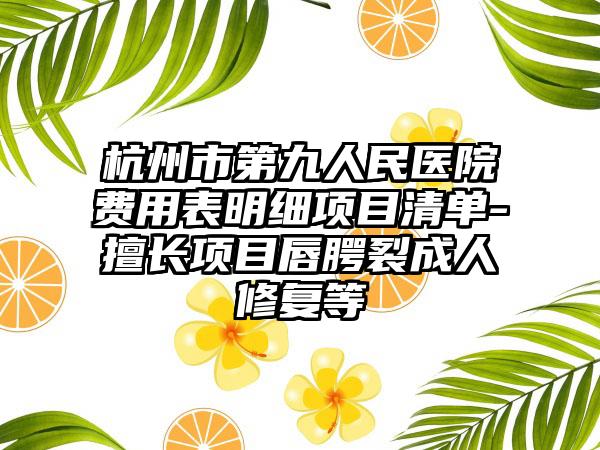 杭州市第九人民医院费用表明细项目清单-擅长项目唇腭裂成人修复等