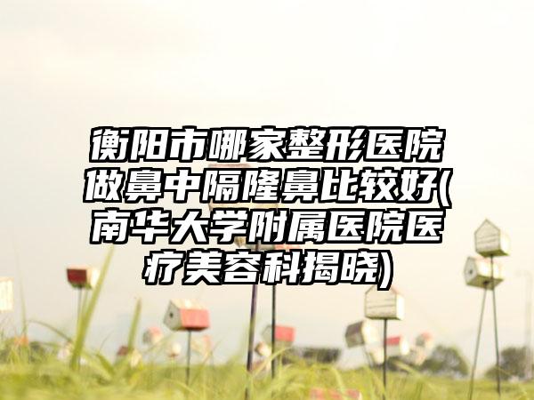 衡阳市哪家整形医院做鼻中隔隆鼻比较好(南华大学附属医院医疗美容科揭晓)