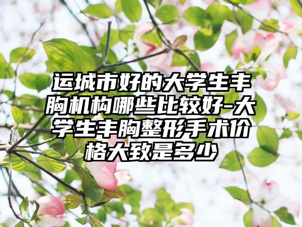 运城市好的大学生丰胸机构哪些比较好-大学生丰胸整形手术价格大致是多少