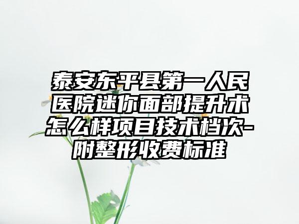 泰安东平县第一人民医院迷你面部提升术怎么样项目技术档次-附整形收费标准